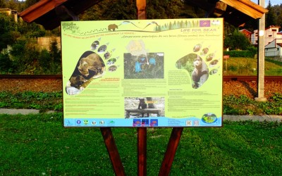 Instalarea panourilor informative LIFE FOR BEAR