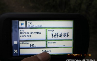 Bear Team – Salvare urs Uricani